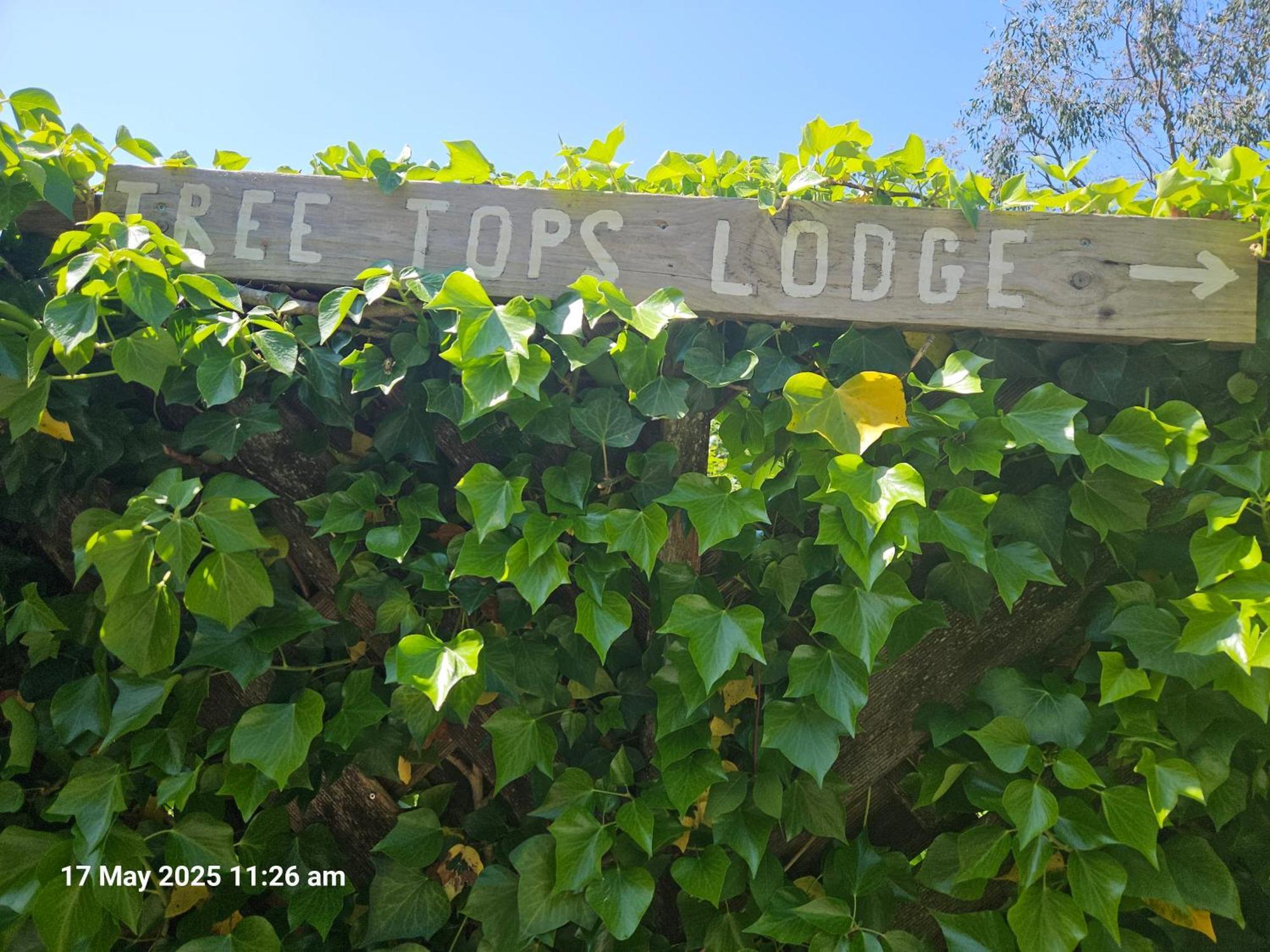 Treetops Lodge, Private Parking & Garden Truro Exterior photo